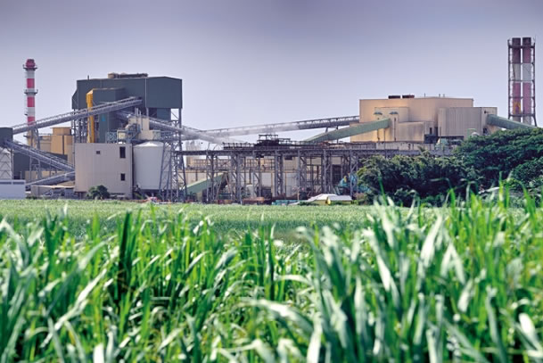 A Brazilian sugarcane plantation and sugar mill