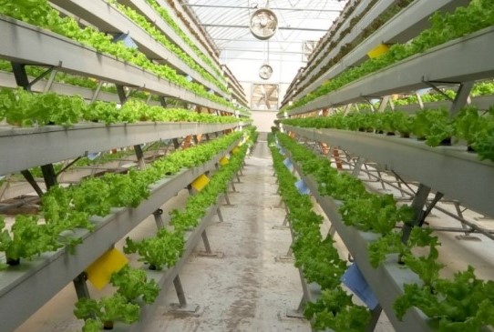 Vertical farming