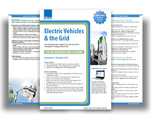 Electric vehicle and the grid