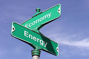 Electricity economics